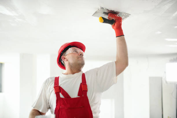 Wallpaper Removal and Painting in Strafford, MO